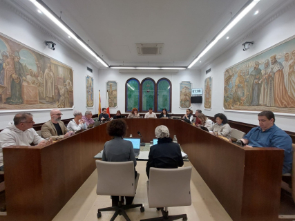 Ple març 2026