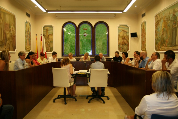 Ple del 30 de juliol del 2015.