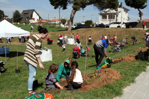Plantada d'arbres i Dia Mundial dels Boscos i l'Aigua 2017