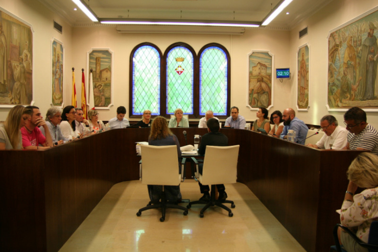Ple Municipal del 25 de maig del 2017.