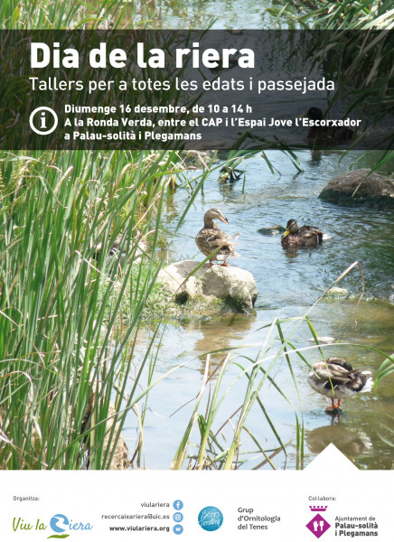 Cartell Dia de la riera