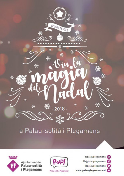 Viu el Nadal a Palau-solità i Plegamans