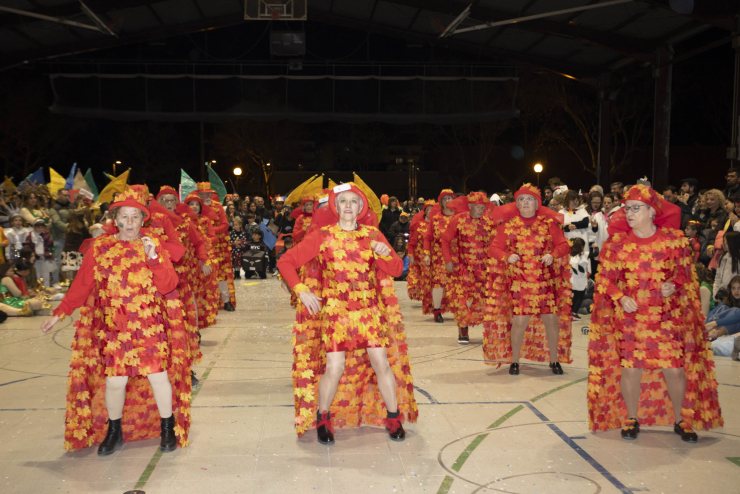 Imatge 202 del Carnaval 2023