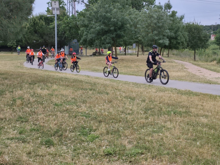 2bici.jpg