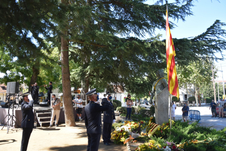 Diada, alçada Senyera