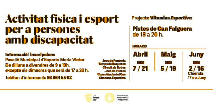 Activitat física i esport per a persones amb discapacitat