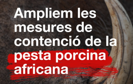 Captura de pantalla 2025-12-05 190734.png