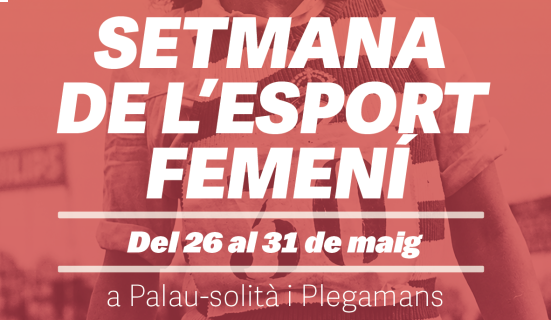 Captura de pantalla 2026-05-15 120516.png