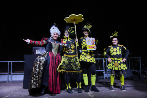 Carnestoltes_Palau2026_1799.jpg