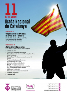 Cartell Diada 2019
