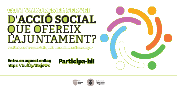 Enquesta Serveis d'Acció Social