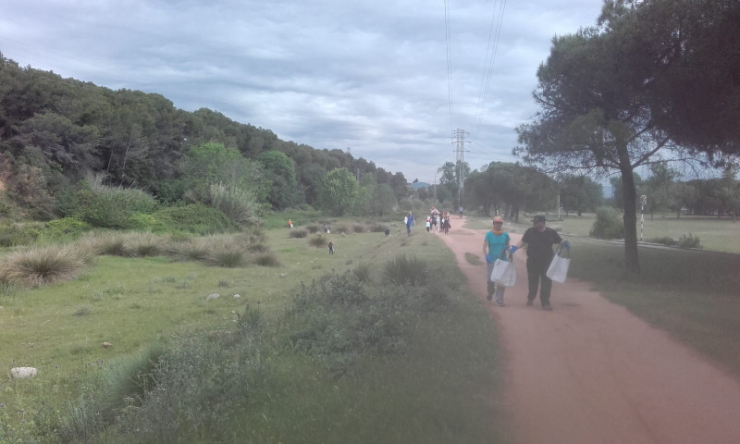Clean up day 2019