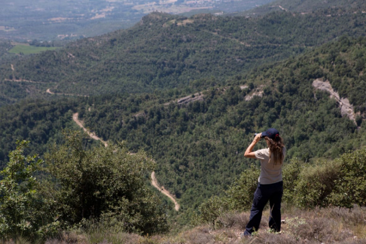 En marxa el Pla d’Informació i Vigilància contra incendis forestals de la Diputació de Barcelona