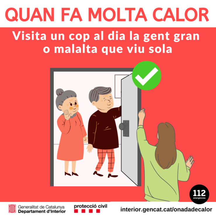 infografia-visitar-avis.png
