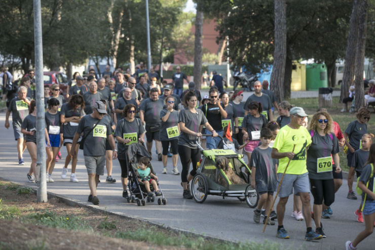 Participants a la caminada