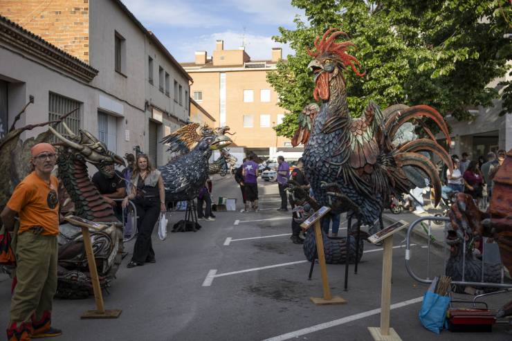 Mercat Medieval PSIP 190 © 2026 Miquel Monfort.jpg