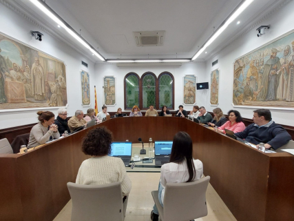 Ple novembre 2025 (1)