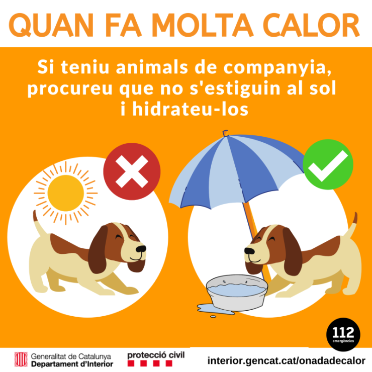 onada-calor-mascotes-instagram.png