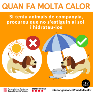onada-calor-mascotes-instagram.png