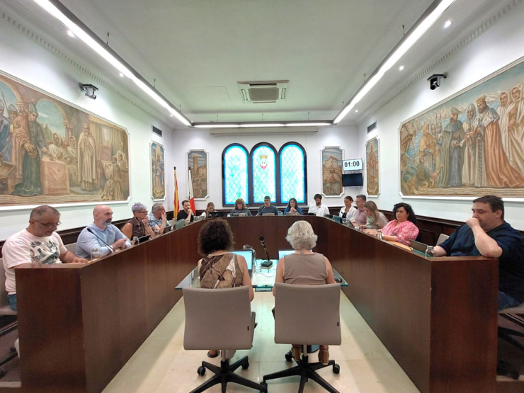Ple maig 2026