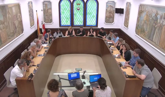 Ple extraordinari per escollir membres de les meses electorals del 23 de juliol