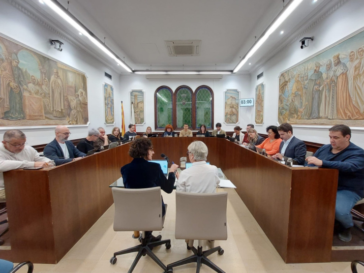 Ple municipal 26 02 26