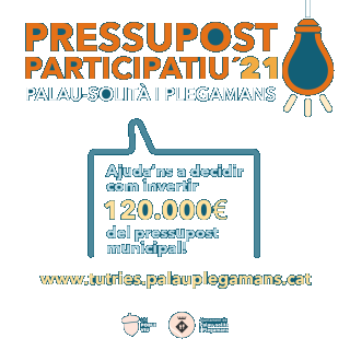 pressupost-participatiu-portada-instagram.png