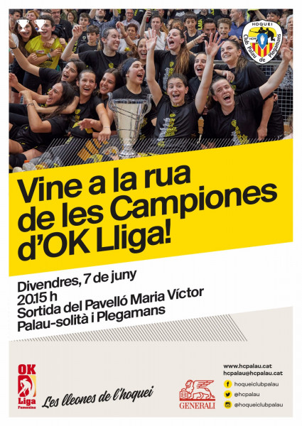 Cartell de la Rua de les campiones