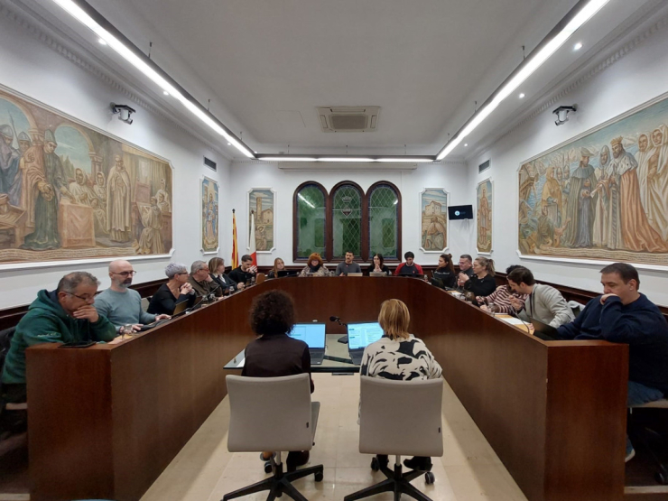 Ple del 29 de gener de 2026