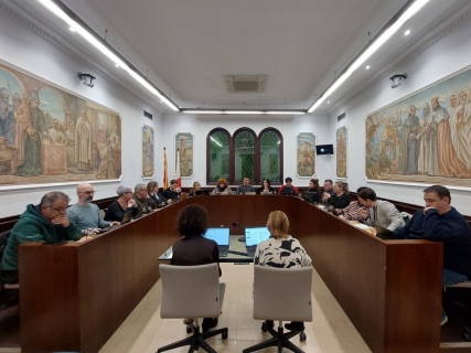 Ple del 29 de gener de 2026